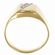 Anello - 18 carati Oro bianco, Oro giallo, Oro rosa - 0.03ct. tw. Diamante (Naturale) - Made in Italy - Handmade