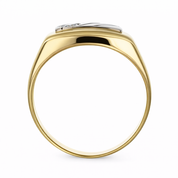Anello - 18 carati Oro bianco, Oro giallo - 0.08ct. tw. Diamante (Naturale)