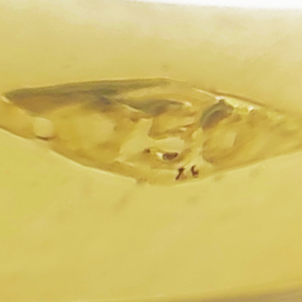 18 carati Oro  Giallo  Anello - con Zircone