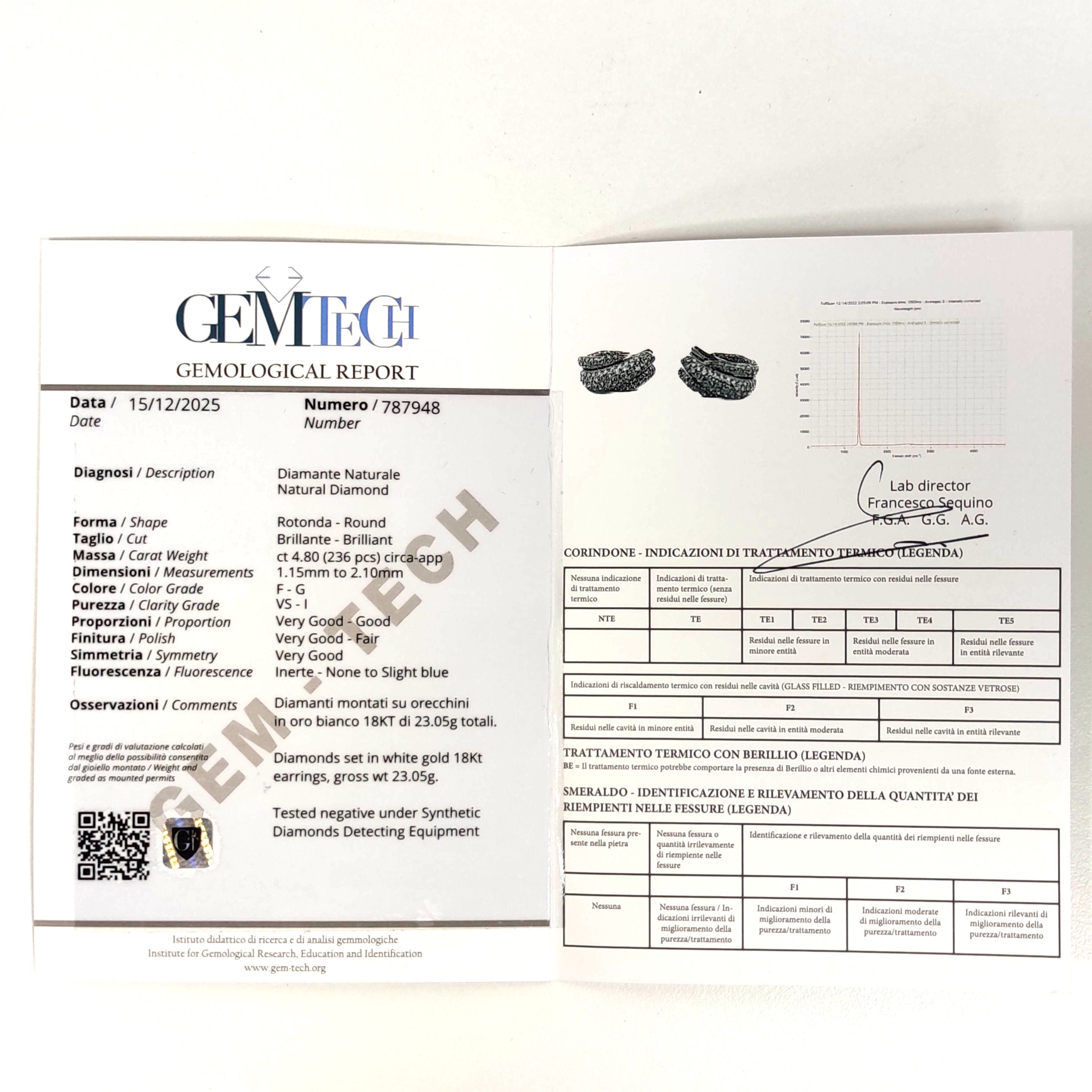 Orecchini - 18 carati Oro bianco - 4.80ct. tw. Diamante (Naturale)