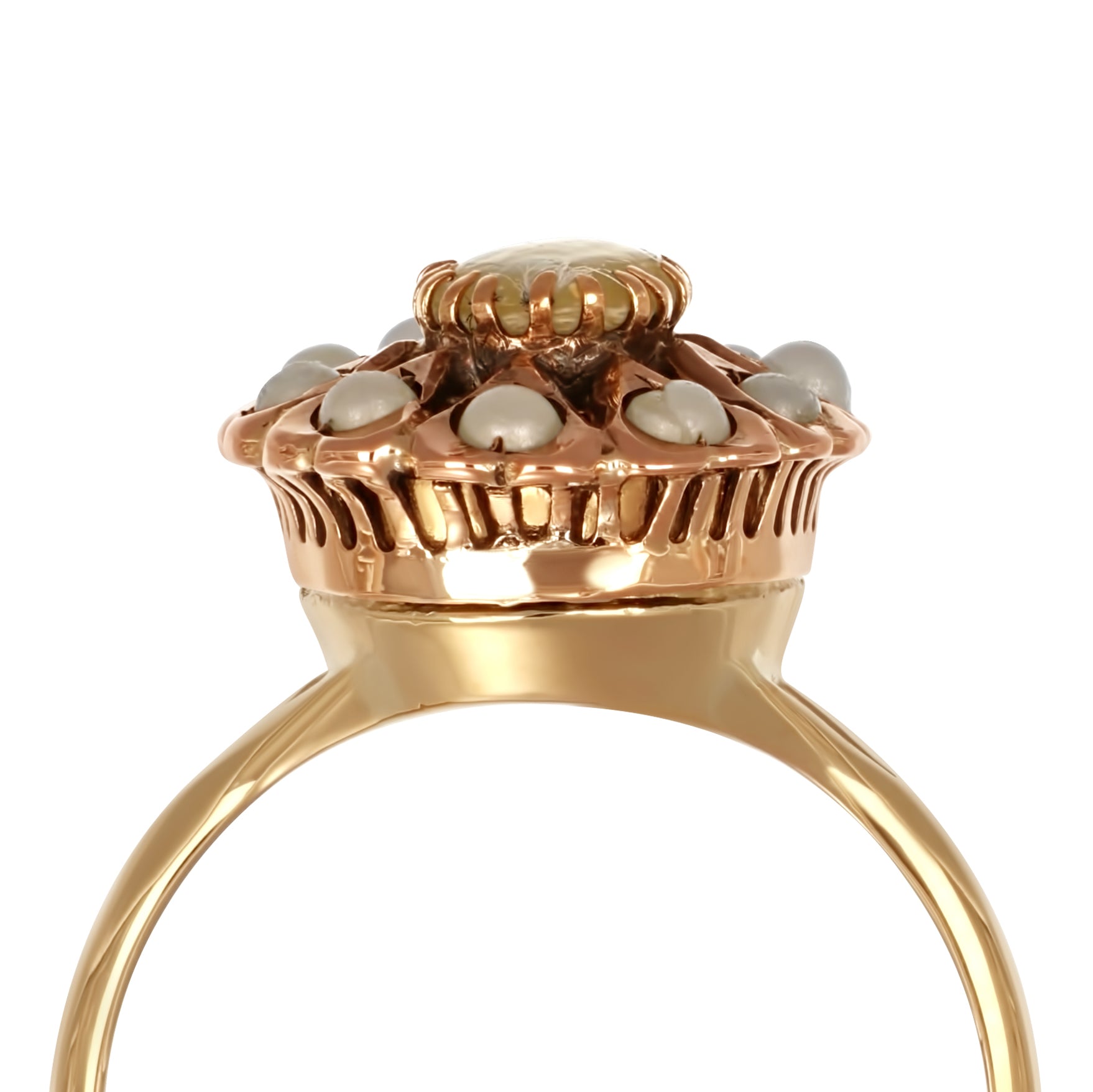 Anello - Perla - 18ct. Gold