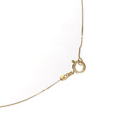 Collana con ciondolo - 18 carati Oro giallo - 10.00ct. tw. Ametista