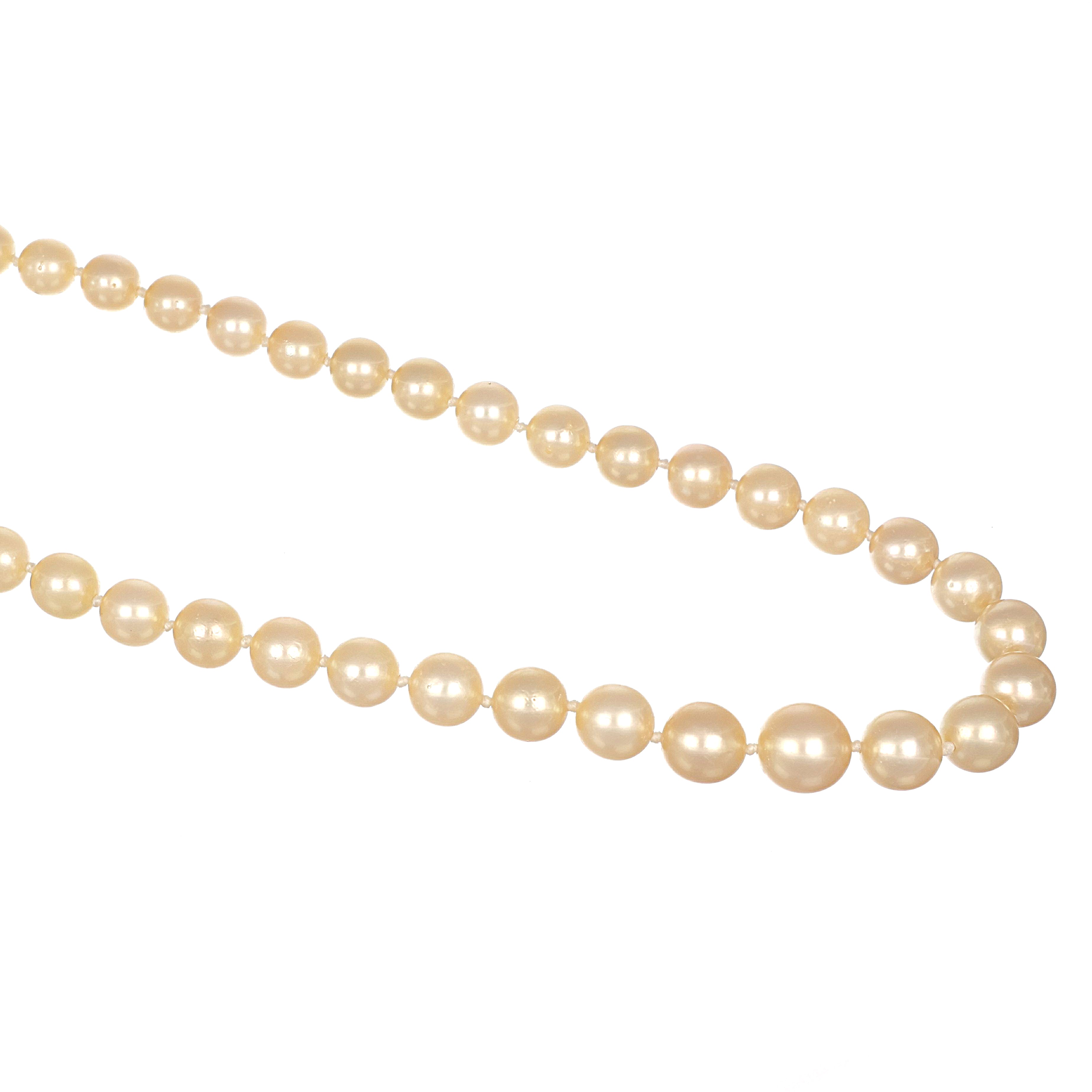 Collana - 18 carati Oro bianco - 0.30ct. tw. Rubino - Perla