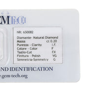 1 pcs Diamante (Naturale) - 0.20 ct - Rotondo - F - IF - GEM-TECH Istituto Gemmologico