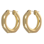 Orecchini - 18 carati Oro giallo