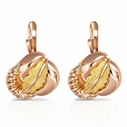 Orecchini - 18 carati Oro giallo