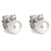 Orecchini - 18 carati Oro bianco - 0.12ct. tw. Diamante (Naturale) - Perla