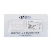 1 pcs Diamante (Naturale) - 0.20 ct - Rotondo - F - IF - GEM-TECH Istituto Gemmologico