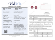 Orecchini - 18 carati Oro bianco - 2.26ct. tw. Rubino - Diamante