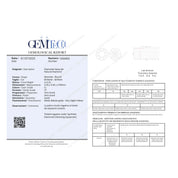 1 pcs Diamante (Naturale) - 0.35 ct - Rotondo - G - IF - GEM-TECH Istituto Gemmologico