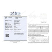 1 pcs Diamante (Naturale) - 0.28 ct - Rotondo - H - VVS2 - GEM-TECH Istituto Gemmologico