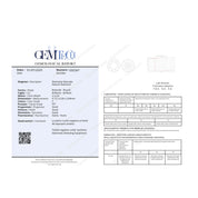 1 pcs Diamante (Naturale) - 0.29 ct - Rotondo - F - VS1 - GEM-TECH Istituto Gemmologico