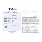 1 pcs Diamante (Naturale) - 0.40 ct - Rotondo - G - IF - GEM-TECH Istituto Gemmologico