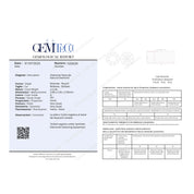 1 pcs Diamante (Naturale) - 0.46 ct - Rotondo - G - VS1 - GEM-TECH Istituto Gemmologico