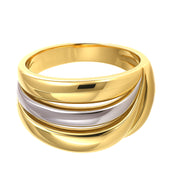 Anello - 18 carati Oro bianco, Oro giallo