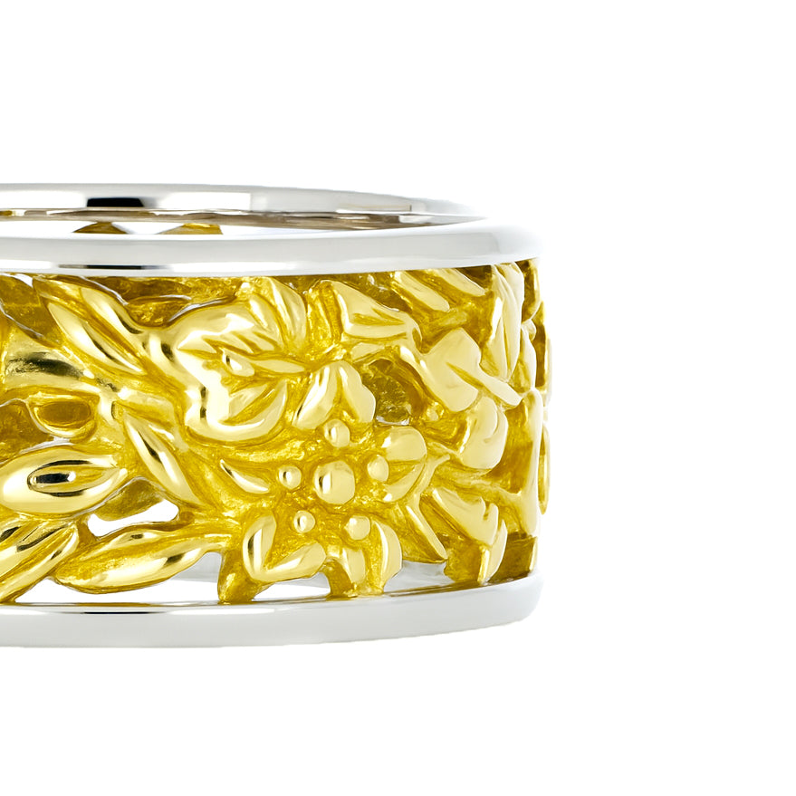 Anello - 18 carati Oro giallo, Oro bianco