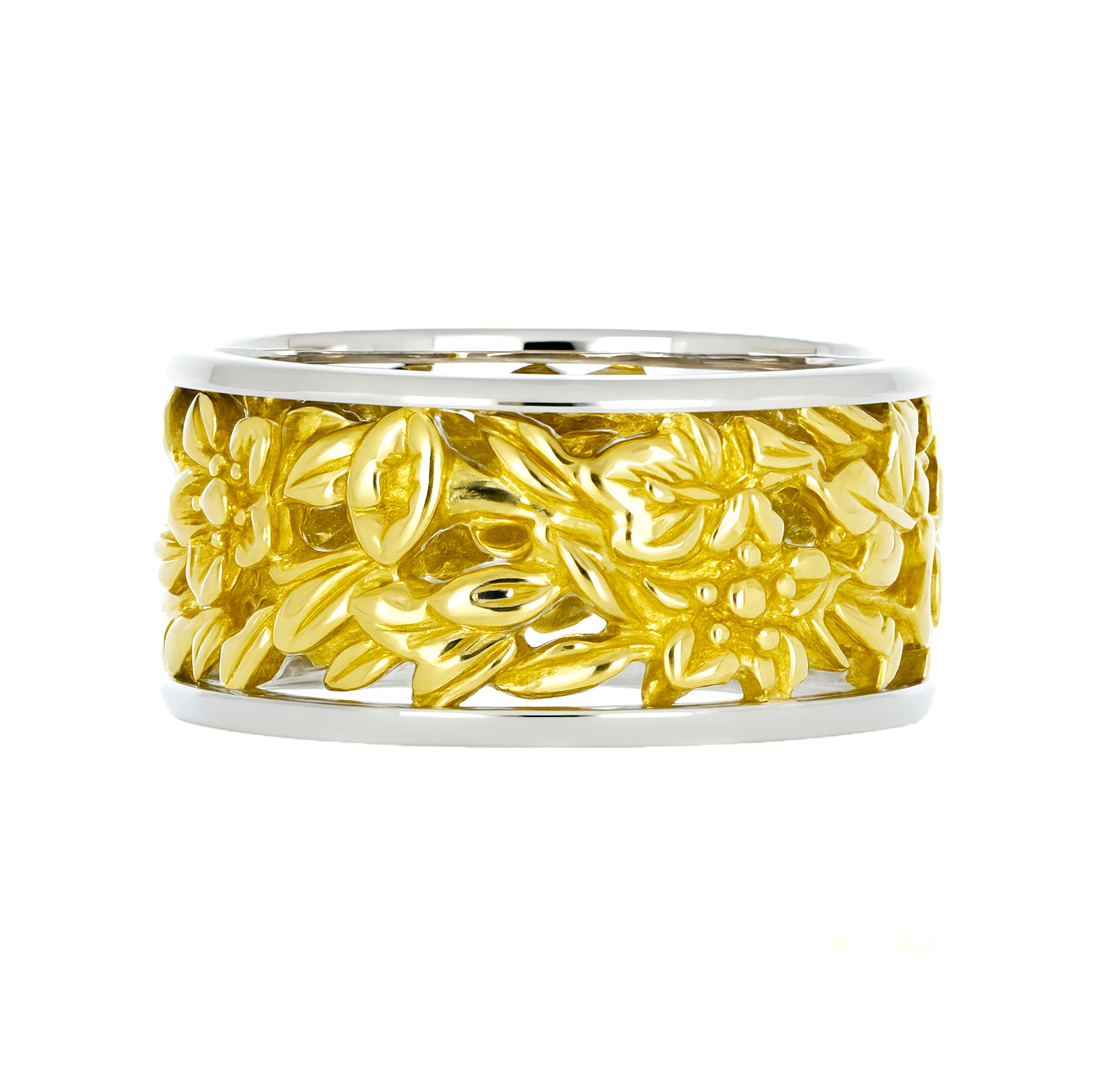 Anello - 18 carati Oro giallo, Oro bianco