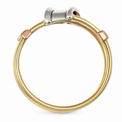 Anello - 18 carati Oro giallo, Oro bianco