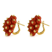 Orecchini - 18 carati Oro giallo - Corallo