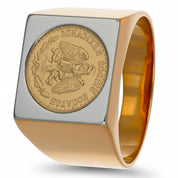 Anello - 18 carati Oro giallo, Oro bianco