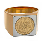 Anello - 18 carati Oro giallo, Oro bianco